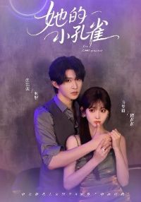 ����С��ȸ