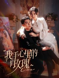 ���������õ��