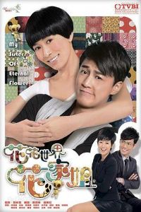 �������绨�ҽ�����